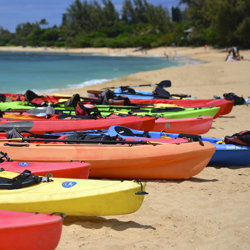 Servicios y alquileres